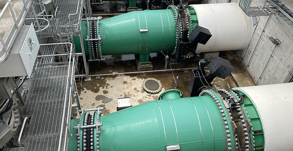 SDV Non-Return Valve